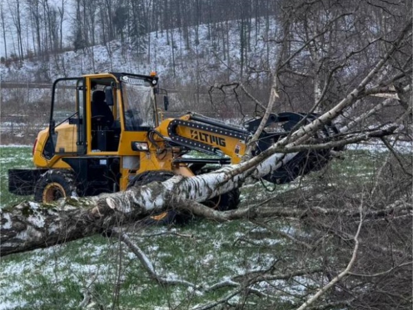 Suisse - Chargeur télescopique de 2,5 tonnes