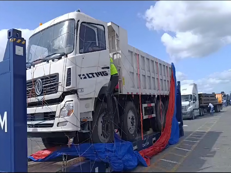 Cas d'exportation : un client dominicain a reçu un camion-benne LMDT250 25 tonnes LTMG
